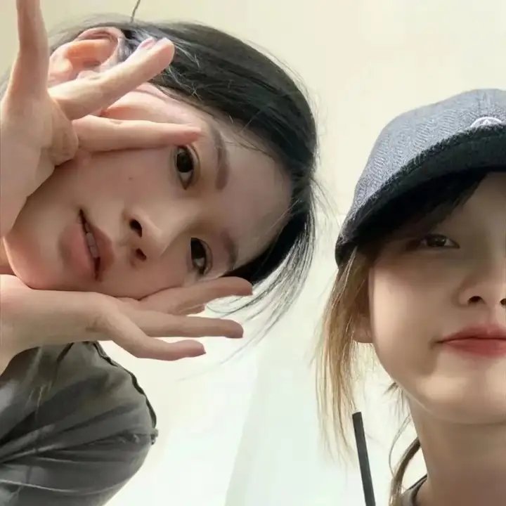 森林的终点是海
